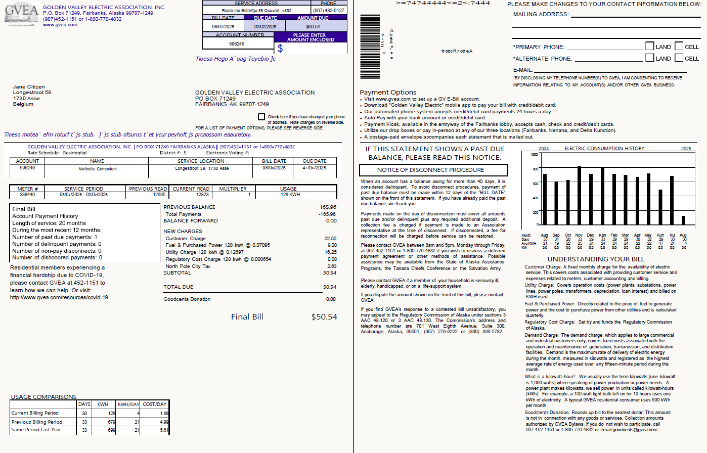 Belgium Golden Valley Electric Association utility bill template in Word and PDF formats, 2 pages